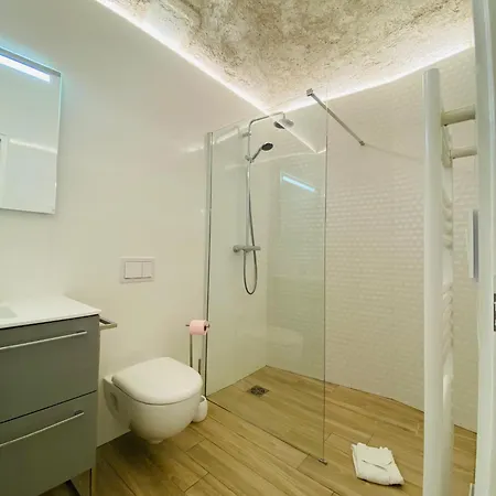 Grand Studio Atypique Appartement *